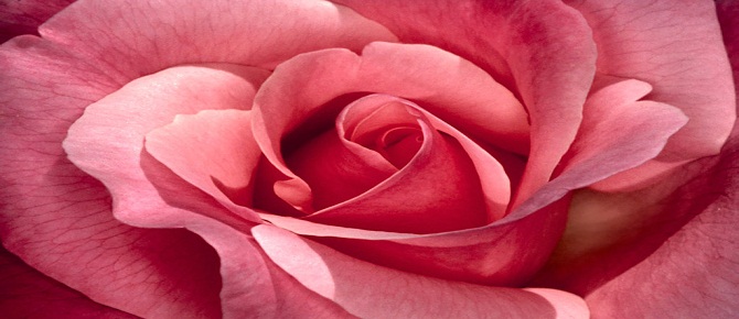 Kim Kur'an hakkında ilimsiz söz ederse