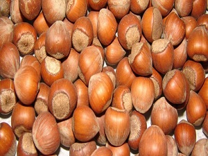 Lisanslı depoculuğun standartları belirlendi