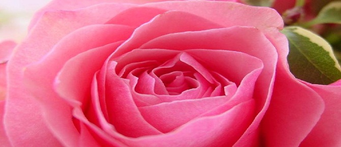 Her doğan yeni gün sadaka vermek gerekir