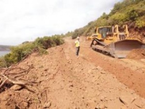 3. köprüde ağaç kesimi başladı