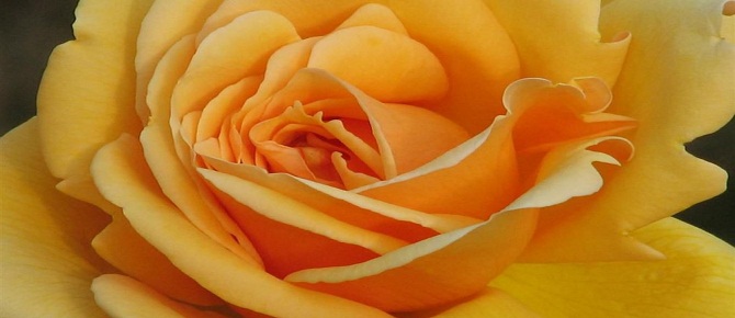 Resulullah (sav) ilk meyve için şöyle dua ederdi