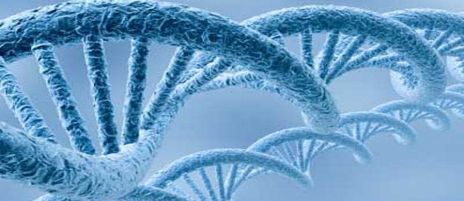 İnsan DNA'sında 4 milyon 'anahtar' gen belirlendi