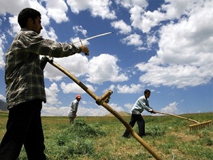 GGBS'ye kaydını yaptırmayan çiftçiye ceza gelecek