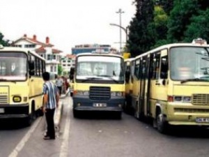 Balıkları minibüs öldürmüş
