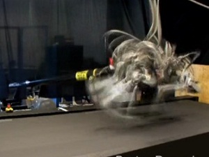 Bu robot Hüseyin Bolt'u geçti