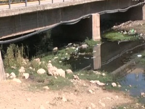 Mardin'de Sıtma Salgını Şüphesi