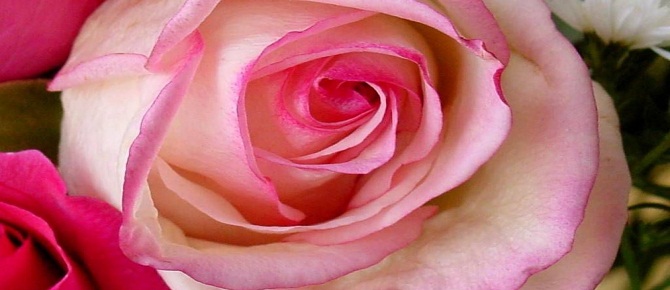 Kim onunla diliyle, kalbiyle mücahede ederse