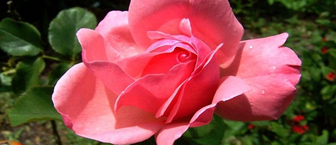 Çıplaklıktan sakının! Zira...