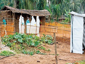 Kongo'da ebola salgını: 15 ölü