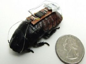 ‘uzaktan kumandalı hamamböceği’