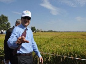 Bakan Eker 2012 Yılı Çeltik Müdahale Fiyatını Açıkladı