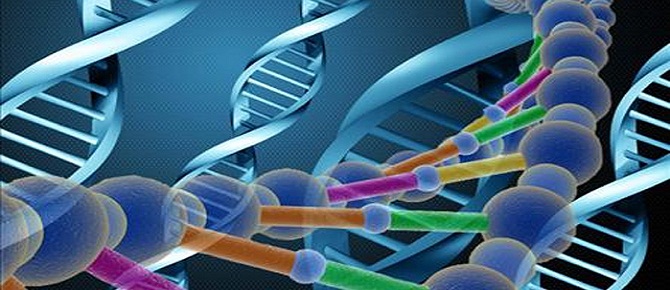 İnsan yüzünü şekillendiren 5 gen belirlendi