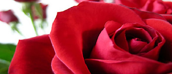 Ümmetim, içinden geçenlerle amel etmedikçe