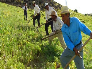 13 bin çiftçiye elektirik şoku