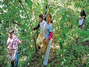 Mevsimlik çocuk işçiler, henüz ders başı yapamadı