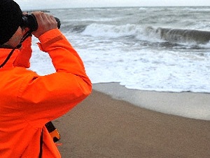 Kuzey Denizi son 50 yılda 1,7 derece ısındı