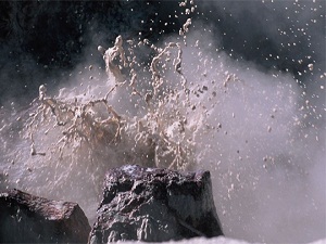 Atık su çamuru gübre etkisi yapıyor