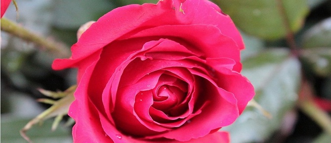 Rabbimiz gecenin son üçte birinde şöyle der