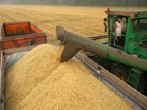 Rusya Tahıl İhracatına Yasak Getirebilir