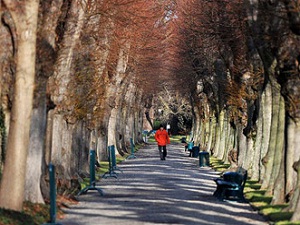 Egzersiz, 50'sinden sonra daha önemli
