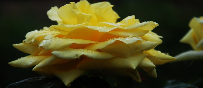 Kim bir hidayete veya dalalete çağrıda bulunursa