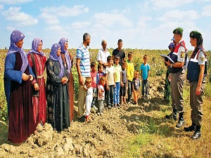 Jandarma, tarlada 'okul çocuğu' arıyor