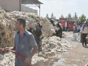 Şanlıurfa'da pamuk fabrikasında yangın