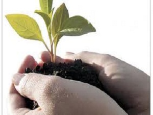 19 Mayıs İlçesinde Organik Tarım Müzesi Açıldı
