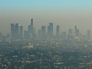Hava kirliliği unutkanlık yapıyor