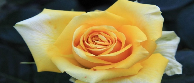 Bununla dua edip de icabet görmeyen yoktur