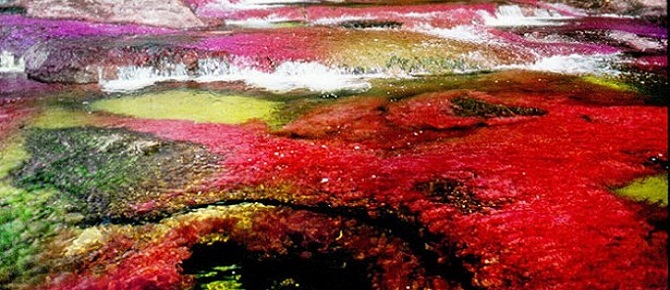 Yedi renkli nehir görenleri şaşırtıyor