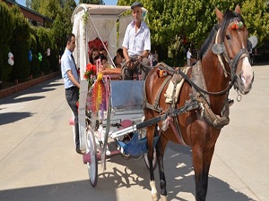 Eğitime faytonlu destek