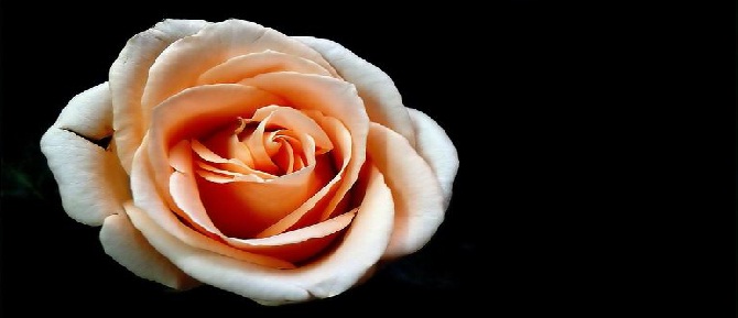 Münakaşayı haklı-haksız terkedene...