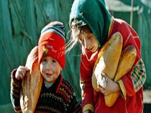 Açlık ve Yoksulluk Sınırı Araştırması