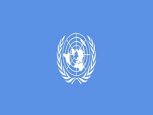 BM'den açlığa çözüm: Böcek yiyin