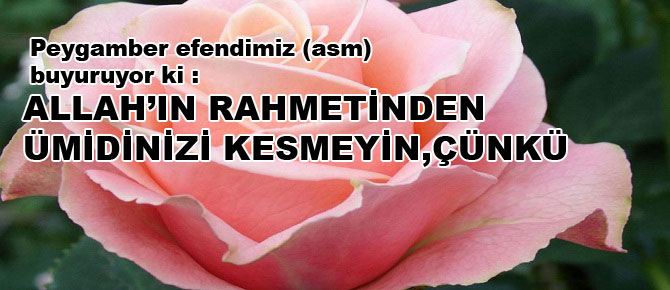 Allah'ın rahmetinden ümidinizi kesmeyin, çünkü