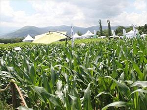 Dünya tarımda büyük kaos bekliyor