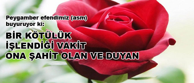 Bir kötülük işlendiği vakit ona şahit olan ve duyan