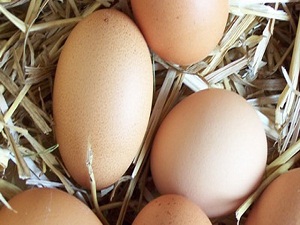 Bakkallardan yumurta alma dönemi kapanıyor!