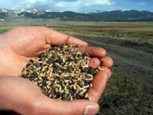 Dünyanın toprağına tohum saçıyoruz