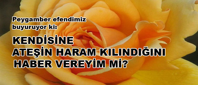 Kendisine ateşin haram kılındığını haber vereyim mi?