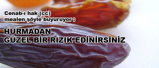 Hurmadan güzel bir rızık edinirsiniz