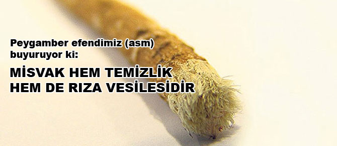 Misvak hem temizlik hem de rıza vesilesidir