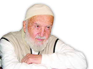 Said Nursi siyasete karışacak sanmıştık