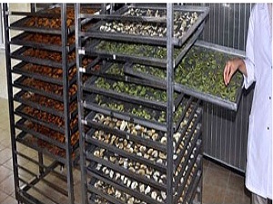 Jeotermal enerjiden ihracata katkı