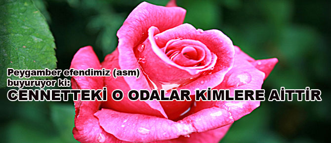 Cennetteki o odalar kimlere aittir