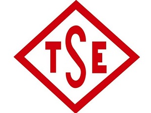 TSE 34 engelli personel alacak