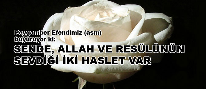 Sende, Allah ve Resûlünün sevdiği iki haslet var