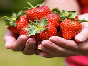 O' virüsün nedeni belli oldu!