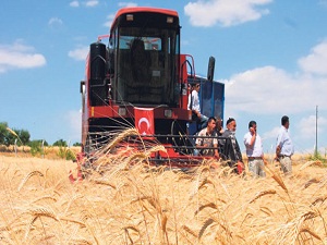 Şanlıurfa Türkiye'nin tarım başkenti olacak